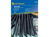 Nasiona i cebule - Fasola tyczna fioletowa BLAUHILDE nasiona Kiepenkerl - miniaturka - grafika 1