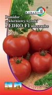 Nasiona i cebule - Pomidor gruntowy Pedro 0,5g / L / - miniaturka - grafika 1