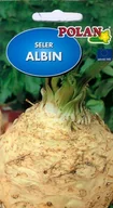 Nasiona i cebule - Seler Albin 0.5 g POLAN - miniaturka - grafika 1