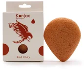 Inne akcesoria do pielęgnacji dzieci - Gąbka Konjac - Odmładzająca - miniaturka - grafika 1