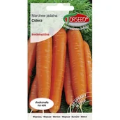 Nasiona i cebule - TORSEED nasiona MARCHEW ŚREDNIO PÓŹNA CIDERA 3 G - miniaturka - grafika 1