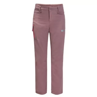 Spodnie i spodenki dla dziewczynek - Spodnie dziecięce Jack Wolfskin ACTIVATE PANTS K ash mauve - grafika 1