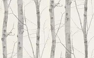 Tapety - EB-Erismann 6305  10 tapeta z włókniny kolekcja paradisio - miniaturka - grafika 1