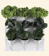 Systemy inteligentnych domów - Minigarden Vertical White MGSET1WH PROMOCJA Black Friday Codziennie! O 15:00 jeden produkt w wariackiej cenie MGSET1WH - miniaturka - grafika 1