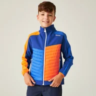 Kurtki i płaszcze dla chłopców - Regatta Dziecięca kurtka pikowana Brynden Granatowy, Rozmiar: 164 cm - miniaturka - grafika 1