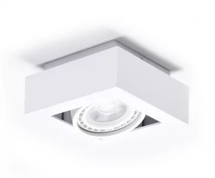 Azzardo NIKEA AZ4437 downlight natynkowy 1x16W/ES111 IP20 AZ4437 - Lampy sufitowe - miniaturka - grafika 1
