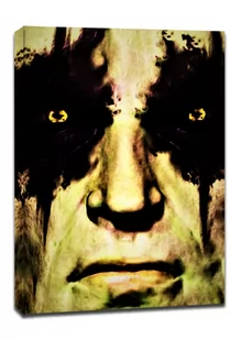 Face It! Star Wars Gwiezdne Wojny - Darth Bane - obraz na płótnie Wymiar do wyboru: 90x120 cm - Obrazy i zdjęcia na płótnie - miniaturka - grafika 1