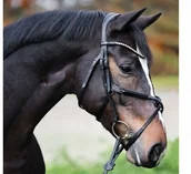 Ogłowia - Kavalkade Ogłowie LUCIA - miniaturka - grafika 1