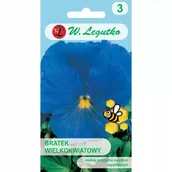 Nasiona i cebule - Nasiona Bratek Sky Blue niebieski 0.50g - W.Legutko - miniaturka - grafika 1