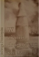 Poezja - W cieniu drogowego słupa - miniaturka - grafika 1
