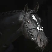 Ogłowia - Covalliero Ogłowie Cancun, cob, czarne - miniaturka - grafika 1