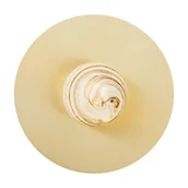 Lampy ścienne - Kinkiet/plafon PIAVA 8449 - Argon - miniaturka - grafika 1