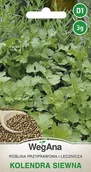 Nasiona i cebule - Kolendra siewna 3g nasiona - WegAna - miniaturka - grafika 1