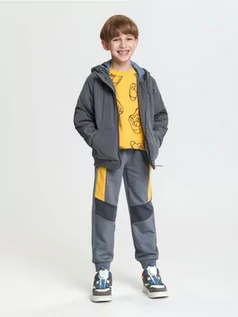 Spodnie i spodenki dla chłopców - Sinsay - Spodnie dresowe jogger - szary - grafika 1