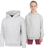 Bluzy męskie - 4F OCIEPLANA DZIEWCZÄCA JUNIORSKA BLUZA KANGURKA Z KAPTUREM / rozm 164 - miniaturka - grafika 1