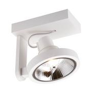 Oprawy, klosze i abażury - Regulowany Downlight Master Acgu10-180 Biały Reflektor Salonowy - miniaturka - grafika 1