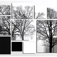 Fototapety - Fototapeta 3D Abstrakcja Drzewa Las 250x175 cm Tapeta Do Sypialni Salonu Kuchni Na Flizelinie - miniaturka - grafika 1