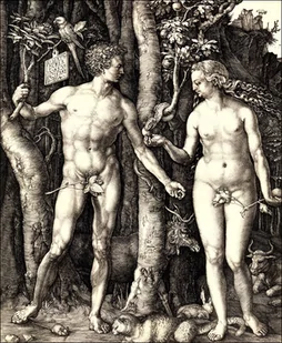 Galeria Plakatu, Plakat, Adam and Eve, Albrecht Durer, 70x100 cm - Plakaty - miniaturka - grafika 1