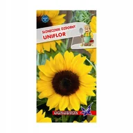 Nasiona i cebule - Słonecznik ozdobny wysoki Uniflor 2g / O / - miniaturka - grafika 1