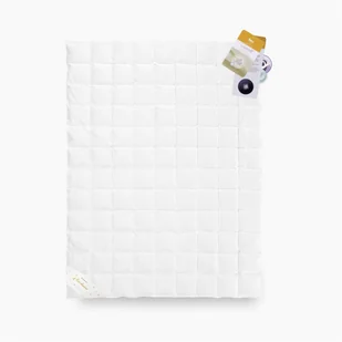 BASIC+ kołdra letnia puch 70% AMZ - Kołdry - miniaturka - grafika 1