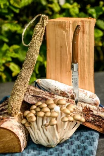 Nóż kieszonkowy Laguiole Luxury Line Rosewood - Noże - miniaturka - grafika 11