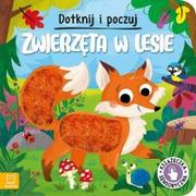 Książki edukacyjne - Dotknij i poczuj. Książeczka sensoryczna. Zwierzęta w lesie - miniaturka - grafika 1