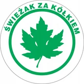 Akcesoria BHP - Naklejka Zielony listek, liść klonu, znak młodego kierowcy 11x11cm - miniaturka - grafika 1