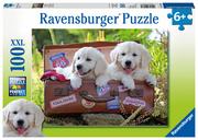 Puzzle - Ravensburger Puzzle Podróżujące Szczeniaczki 100 105380 - miniaturka - grafika 1
