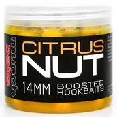 Zanęty - Przynęta Kulki Haczykowe Munch Baits Boosted Citrus Nut 14 mm - miniaturka - grafika 1
