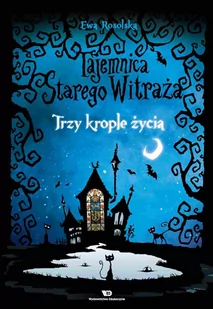 Trzy krople życia. Tajemnica starego witraża. Tom 1 - E-booki dla dzieci i młodzieży - miniaturka - grafika 1