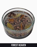 Świece - Świeca Sojowo-Żelowa – Leśna Głębia – Zatopiony Las i Kamyczki – Zapach Forest Heaven – 1000 ml - miniaturka - grafika 1