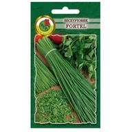 Nasiona i cebule - SZCZYPIOREK FORTEL AROMATYCZNY DŁUGI WIELOLETNI NASIONA BEZ GMO - miniaturka - grafika 1