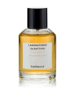 Wody i perfumy męskie - Laboratorio Olfattivo Kashnoir Woda perfumowana 30 ml - miniaturka - grafika 1