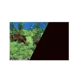 Dekoracje do akwarium - Zolux Tło akwariowe dwustronne 30 x 40 cm korzeń/czarne - miniaturka - grafika 1