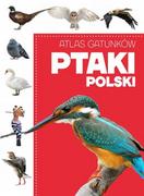 Poradniki hobbystyczne - praca zbiorowa Atlas gatunków Ptaki Polski - miniaturka - grafika 1