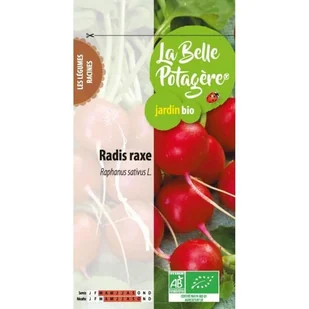 Rzodkiew raxe 3 g - Nasiona i cebule - miniaturka - grafika 1