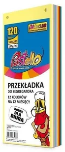 Przekładka do segregatora 1/3 A4 120K 12 kolorów - Przekładki do segregatorów - miniaturka - grafika 1