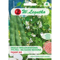 Nasiona i cebule - Fasola tyczna wielokwiatowa Piękny Jaś nasiona 38g W. Legutko - miniaturka - grafika 1