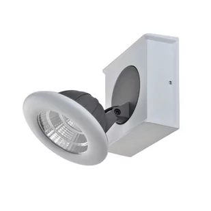 Italux Catalina LED kinkiet 1-punktowy FH31781A13 FH31781A13 - Lampy ścienne - miniaturka - grafika 1