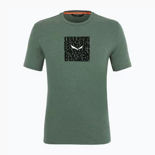 Koszulki sportowe męskie - Salewa Koszulka trekkingowa męska Pure Box Dry 5326 zielona 28378 - grafika 1