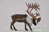 Figurki dla dzieci - Collecta Renifer - miniaturka - grafika 1
