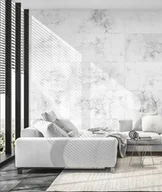Elewacje - 120x60 cm DS - (biały, czarne kruszywo) - płyta beton architektoniczny ultralekka - miniaturka - grafika 1