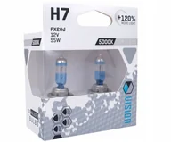 Żarówki samochodowe - ŻARÓWKI ARCTIC H7 12V 55W +120% ŚWIATŁA - miniaturka - grafika 1