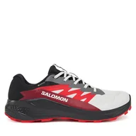 Buty sportowe męskie - Buty do biegania Salomon Alphaglide Gore-Tex L47802200 Szary - miniaturka - grafika 1
