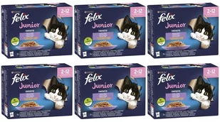 Purina Felix Fantastic Junior w galaretce 72x85g 50109-uniw - Mokra karma dla kotów - miniaturka - grafika 1