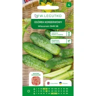 Nasiona i cebule - Ogórek konserwowy Wisconsin SMR 58 nasiona W.Legutko - miniaturka - grafika 1