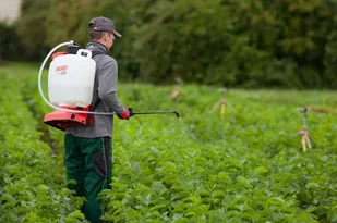 SOLO opryskiwacz plecakowy NOVA 424 - 16 litrów, 4 bary - Opryskiwacze - miniaturka - grafika 1