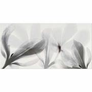Płytki ceramiczne - Płytka ścienna inserto COLORADO NIGHTS grey flower glossy 29x59,3 gat. I - miniaturka - grafika 1
