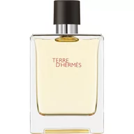 Wody i perfumy męskie - Hermes Terre DHermes EDT 100ml 400003 - miniaturka - grafika 1