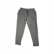 Spodnie męskie - Spodnie dresowe męskie szare PUMA XL - miniaturka - grafika 1